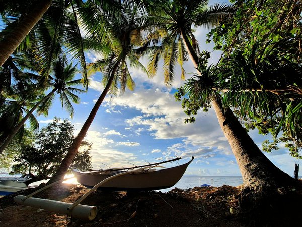 Port pêche le havre : un héritage vivant face à la maison armateur